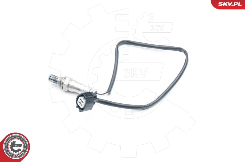 Oxygen Sensor